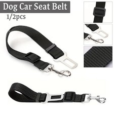 Haustier Hund Sicherheitsgurt