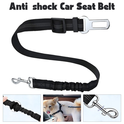 Anti shock haustier - anti,