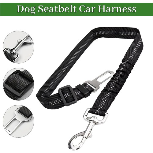 Anti schock hund sitz - hund, gürtel