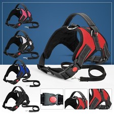 Hundegeschirr Nein Zug Für