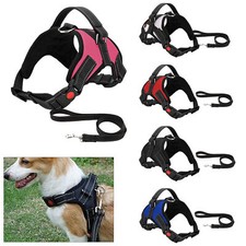 Hundegeschirr Nein Ziehen